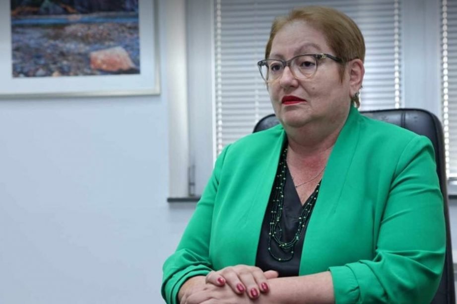Janevska  Kostovski ta rishqyrtojë vendimin për paralelen shqipe
