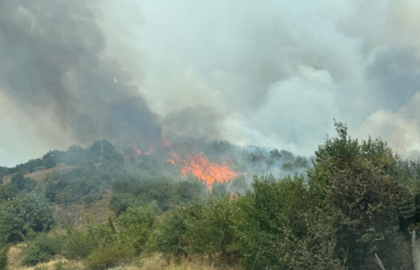 QMK kërkon ndërhyrje urgjente nga ajri  zjarri po përhapet me shpejtësi drejt Bllacës dhe Çuçer Sandevës