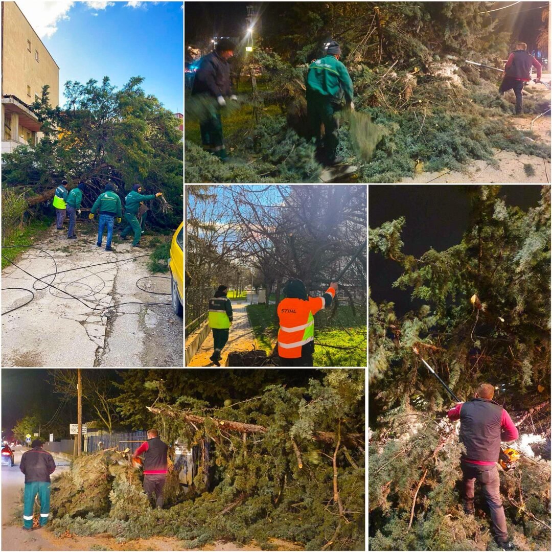 Në disa lokacione në Shkup ranë drunj  Orce Gjorgievski  Ekipet janë në terren dhe reagojnë me kohë