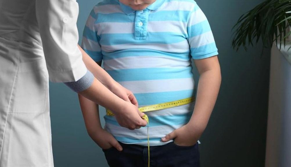 35  e popullsisë së Maqedonisë së Veriut është me mbipeshë