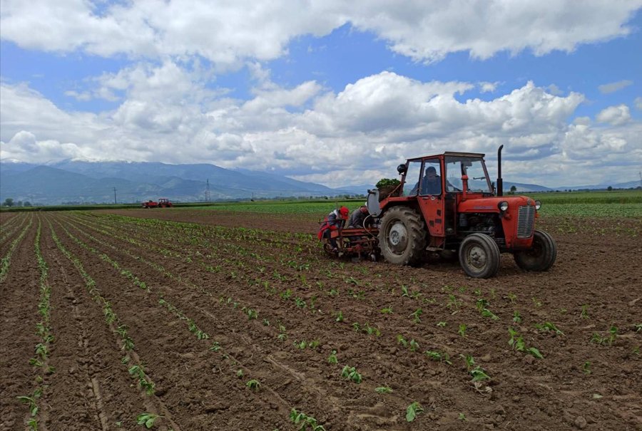 Bujqit përballen me vështirësi për shkak të rregullave për furnizimin me naftë