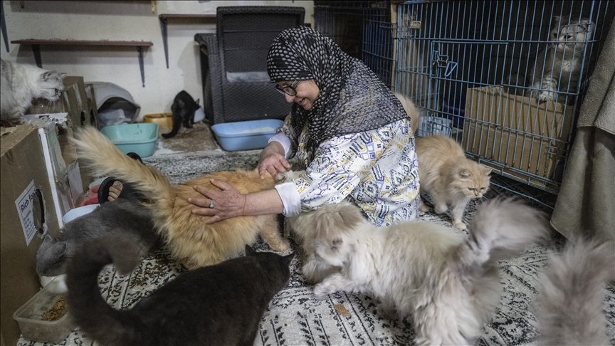  Nuk mund t i lija pas   Arratisja e dëshpëruar e një gruaje libaneze me 40 mace nga sulmet izraelite