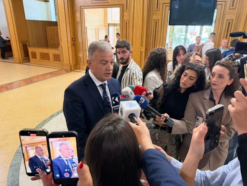 Mesazhi i votimit  karate   Bardiqi thotë se ishte  sarkazëm  dhe në thojza  mua mu cënua privatësia 