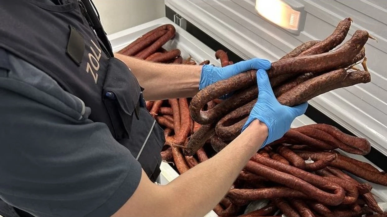 Dogana e Shtutgartit konfiskon 250 kg suxhuk në autobusin që vinte nga Kosova