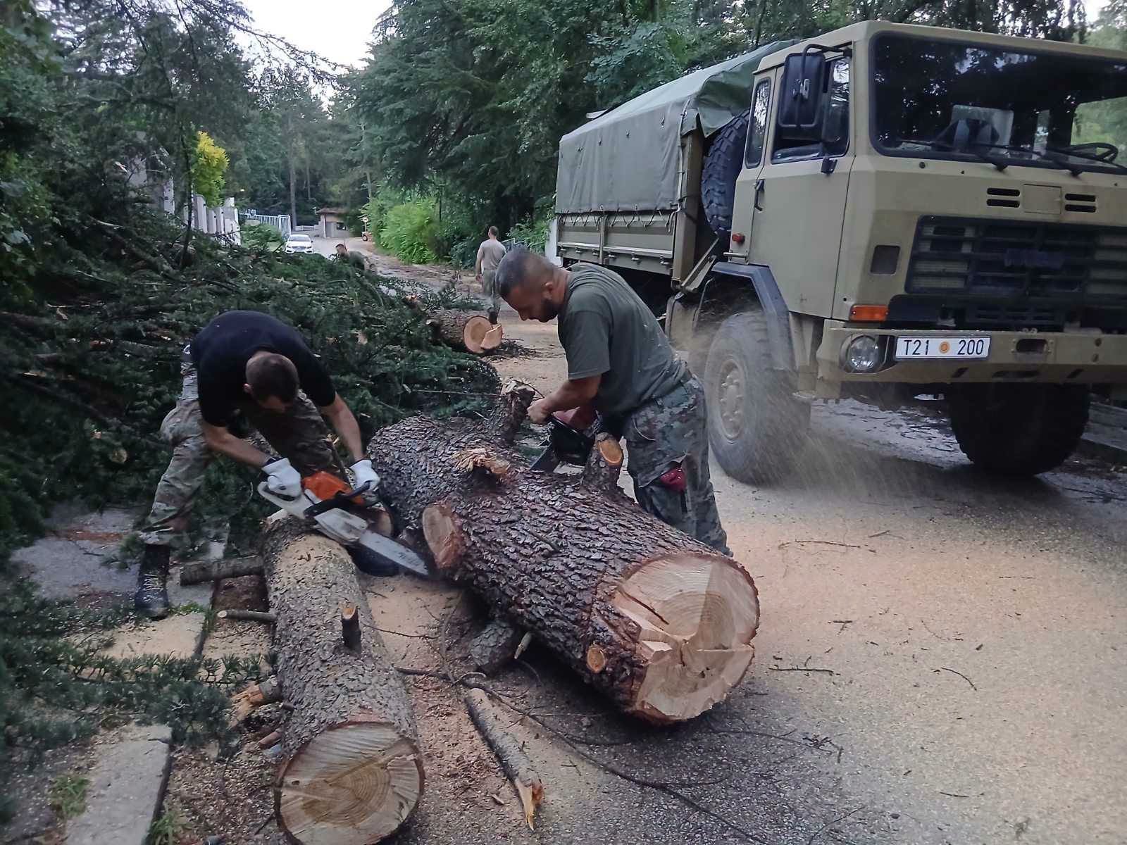 Armata del në terren pas stuhisë së fuqishme në Shkup  ndihmon në pastrimin e rrugëve nga drunjtë e rrëzuar