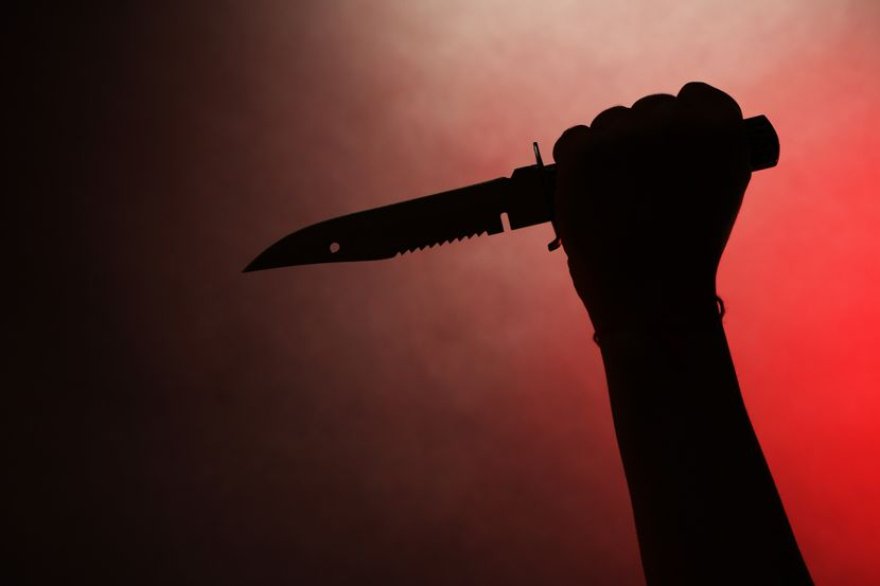 Burgim të përjetshëm për djalin që në janar vrau nënën e tij me thikë në Bogdanc