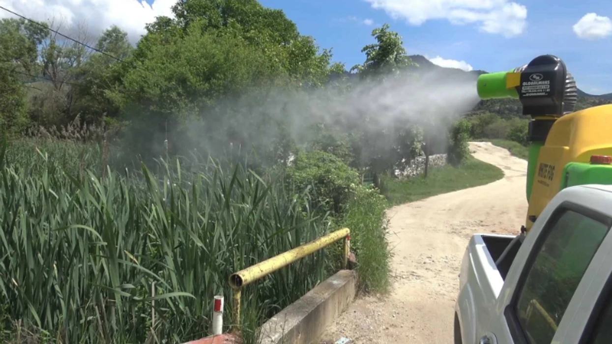 Në qytetin e Tetovës më 15 korrik do të kryhet dezinsektim tokësor kundër insekteve