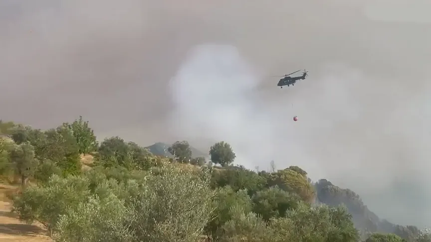 Shqipëri  zjarr masiv në Riban të Mallakastrës  evakuohen 15 familje
