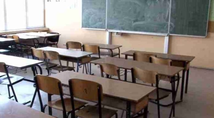 Alarm për mungesë fëmijësh  paralajmërohet mbyllja e 20 shkollave në Maqedoni