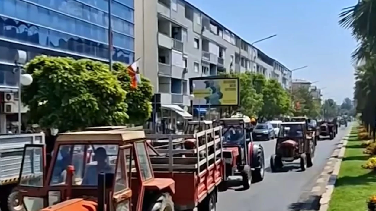 Protestojnë bujqit në Strumicë  kërkojnë çmime më të larta për blerje