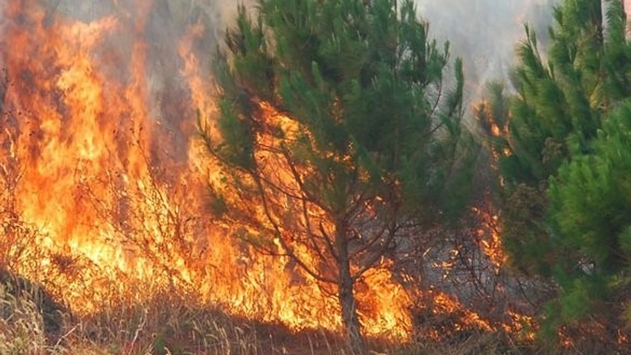 Shuhet zjarri në Kavadar  zjarrfikësit mbeten në terren