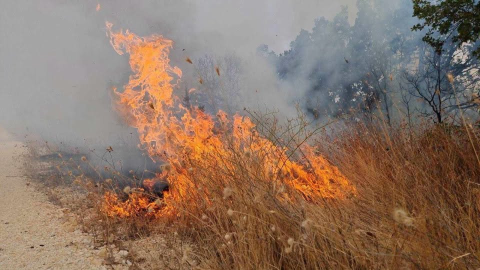 Ndalohet një person nga Manastiri  dyshohet se shkaktoi zjarr