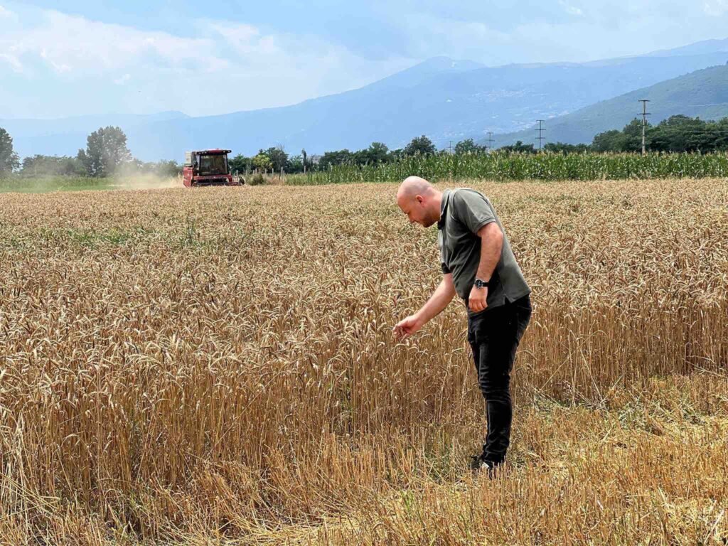 Hoxha  461 5 milionë denarë për 23 874 fermerë  u realizuan pagesat për drithërat