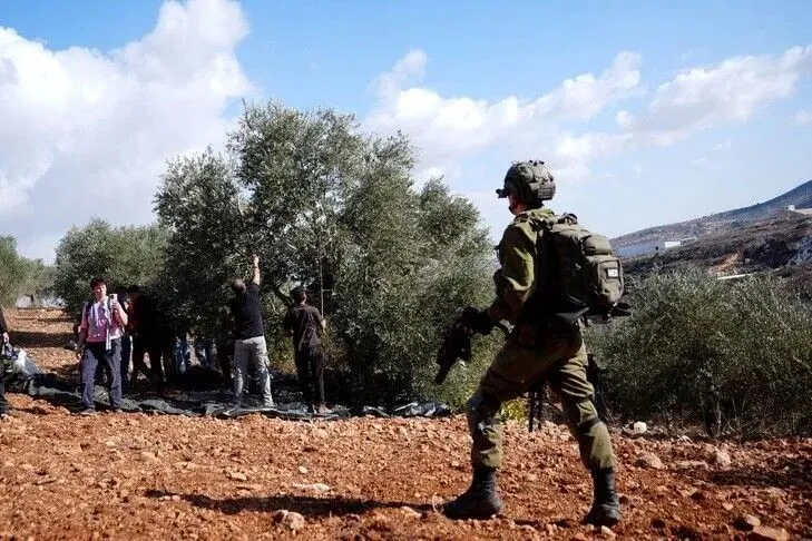 Udhëheqësit e kishave në Kuds  Mungesa e llogaridhënies nxit sulmet e kolonëve izraelitë në Bregun Perëndimor