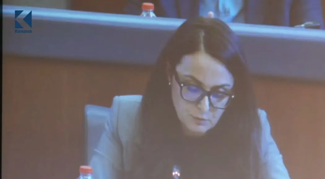 Projektligji për Specialen  Lushaku  LDK nuk mund të bëhet pjesë e kësaj nisme