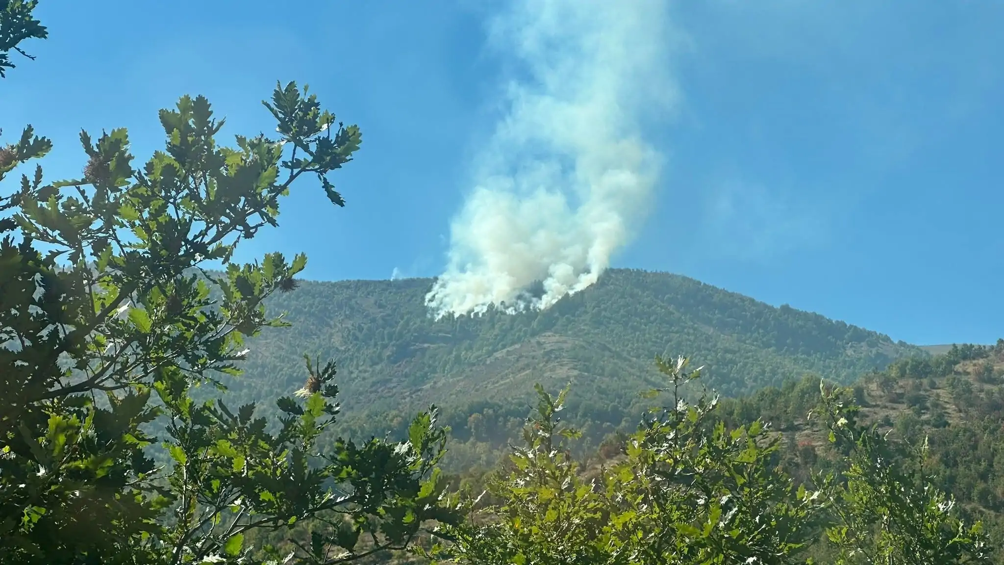 Deri në orën 07 30 janë regjistruar 46 zjarre  shtatë aktive  një nën kontroll
